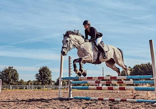 young-female-jockey-dapple-gray-horse-jumping-hurdle-open-arena_613910-19059 Chauffeur Service Birmingham